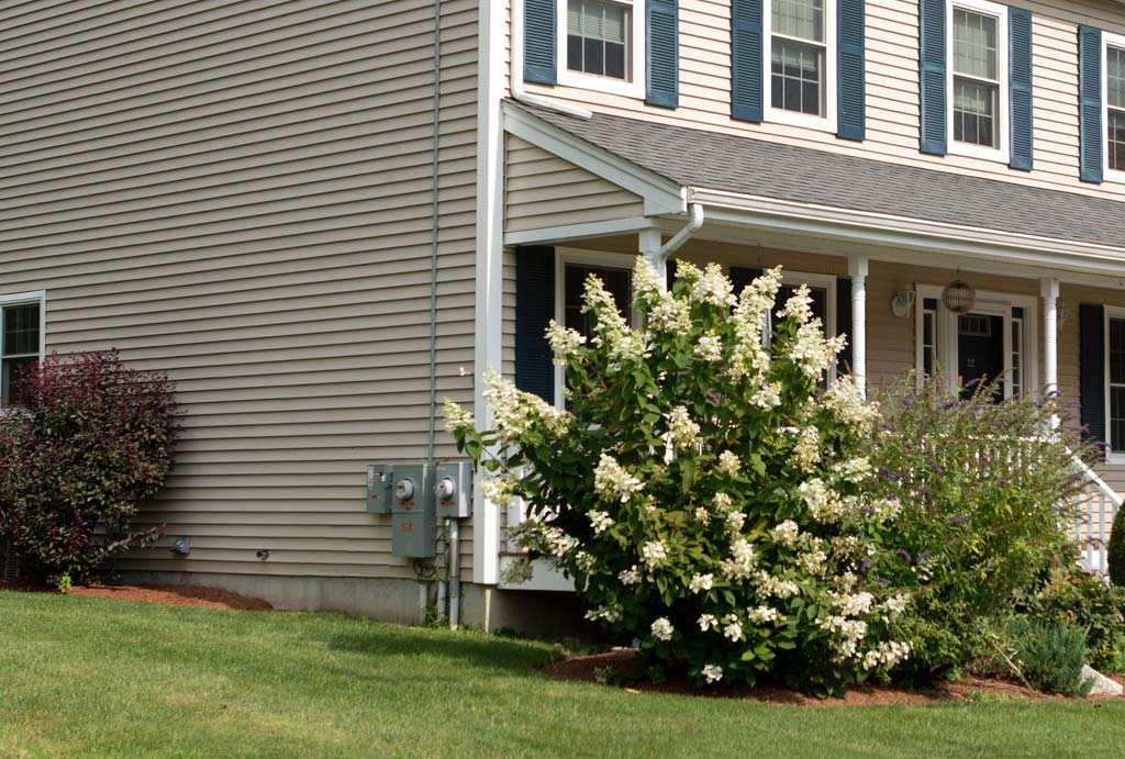 Popular Siding Material Options In Indiana
