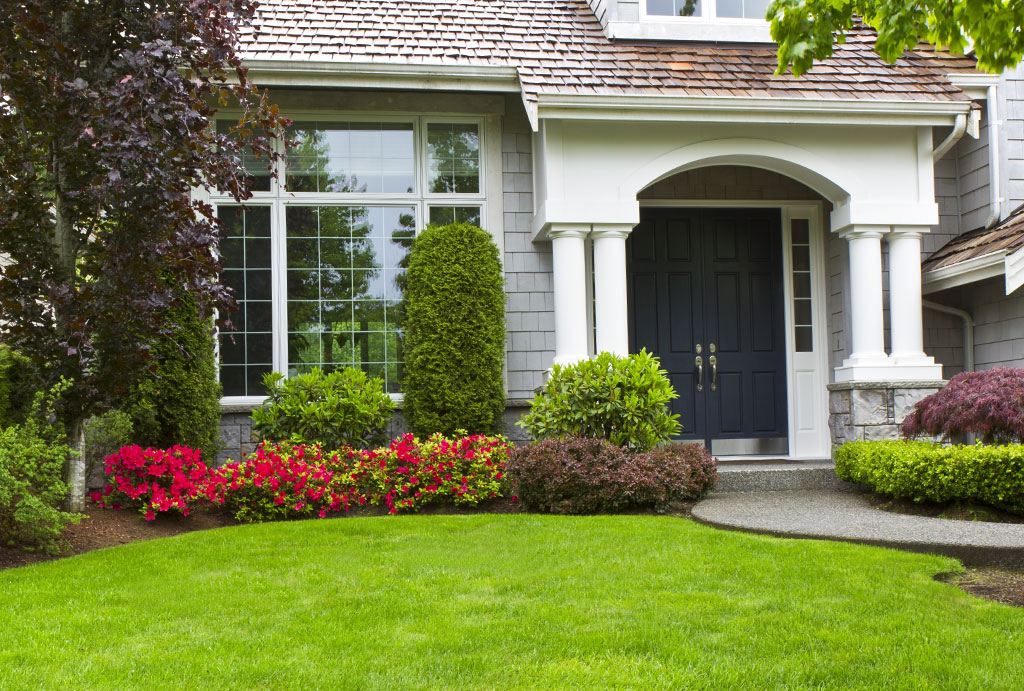 Take Care of Grass to Increase Curb Appeal