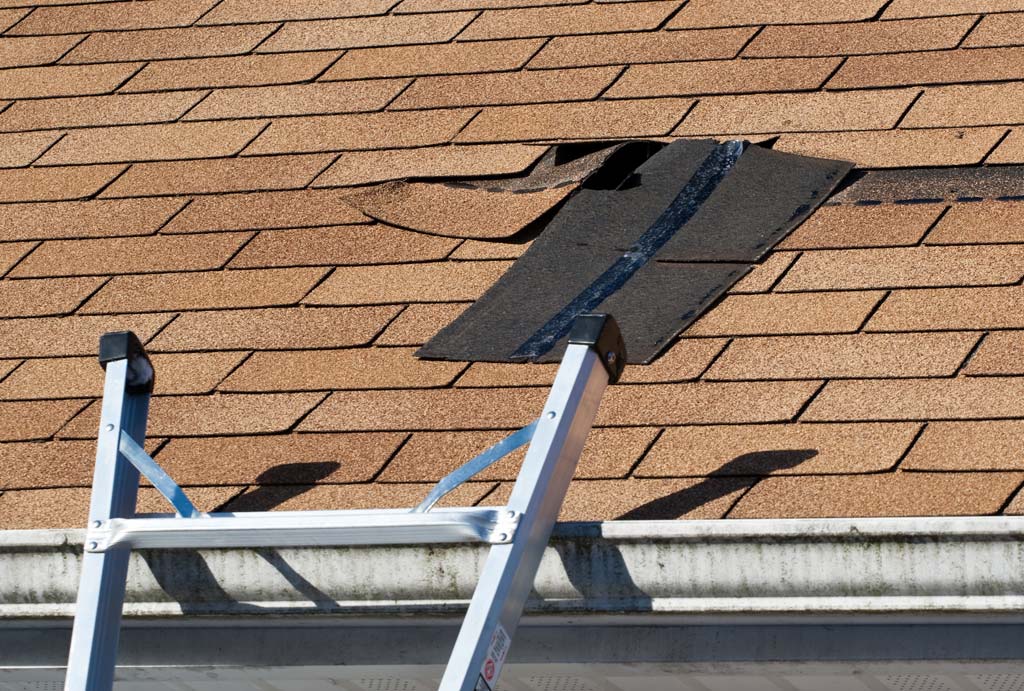 5 Signs To Tell if Your Roof Is Leaking