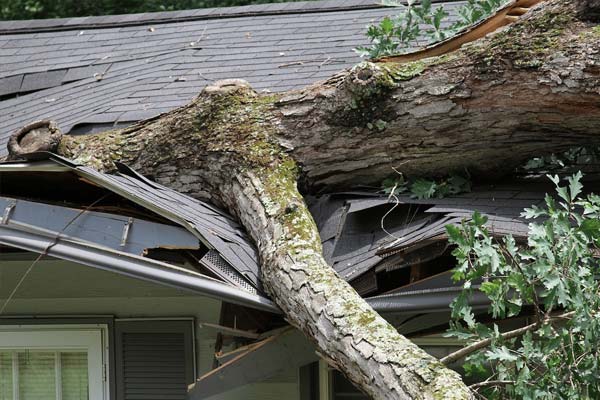 Storm Damage Indianapolis