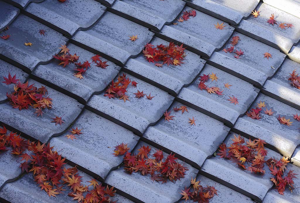 How Stay Dry Roofing helps your fall process
