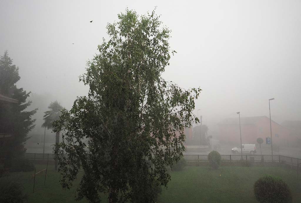 Hail, Wind & Insurance: How to Work With Adjusters