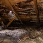 Hidden Roof Deck Rot Warning Signs After Spring Storms